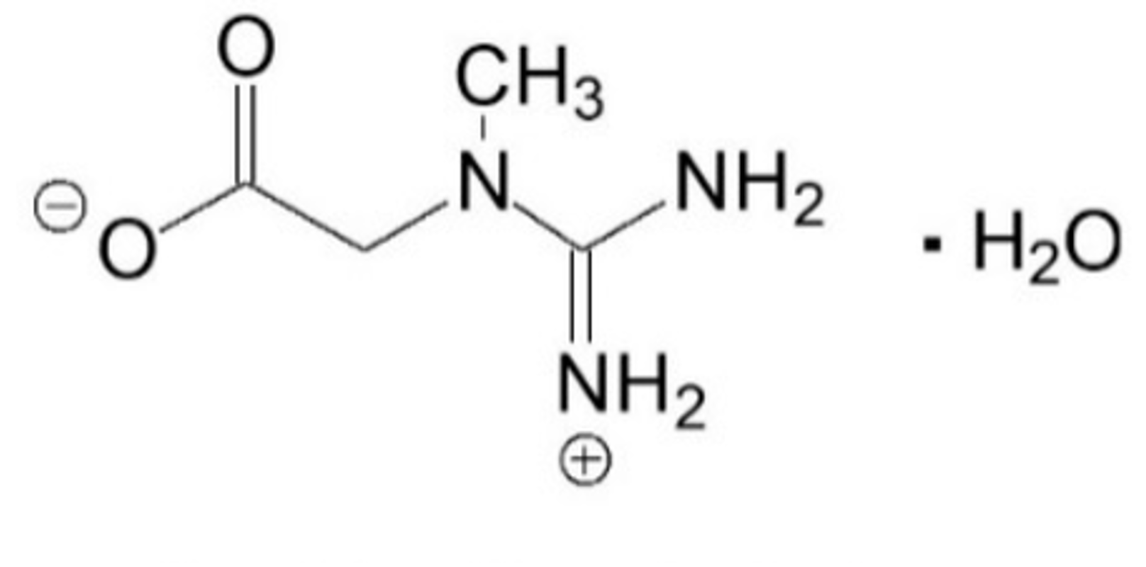 KREATIN: »ČUDEŽNI« BEL PRAŠEK, KI SODI V VSAKO GOSPODINJSTVO